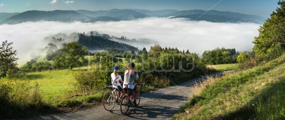 Silniční cyklistika