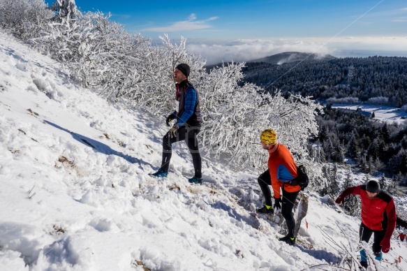 WINTER SkyRace