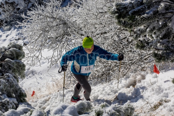 WINTER SkyRace